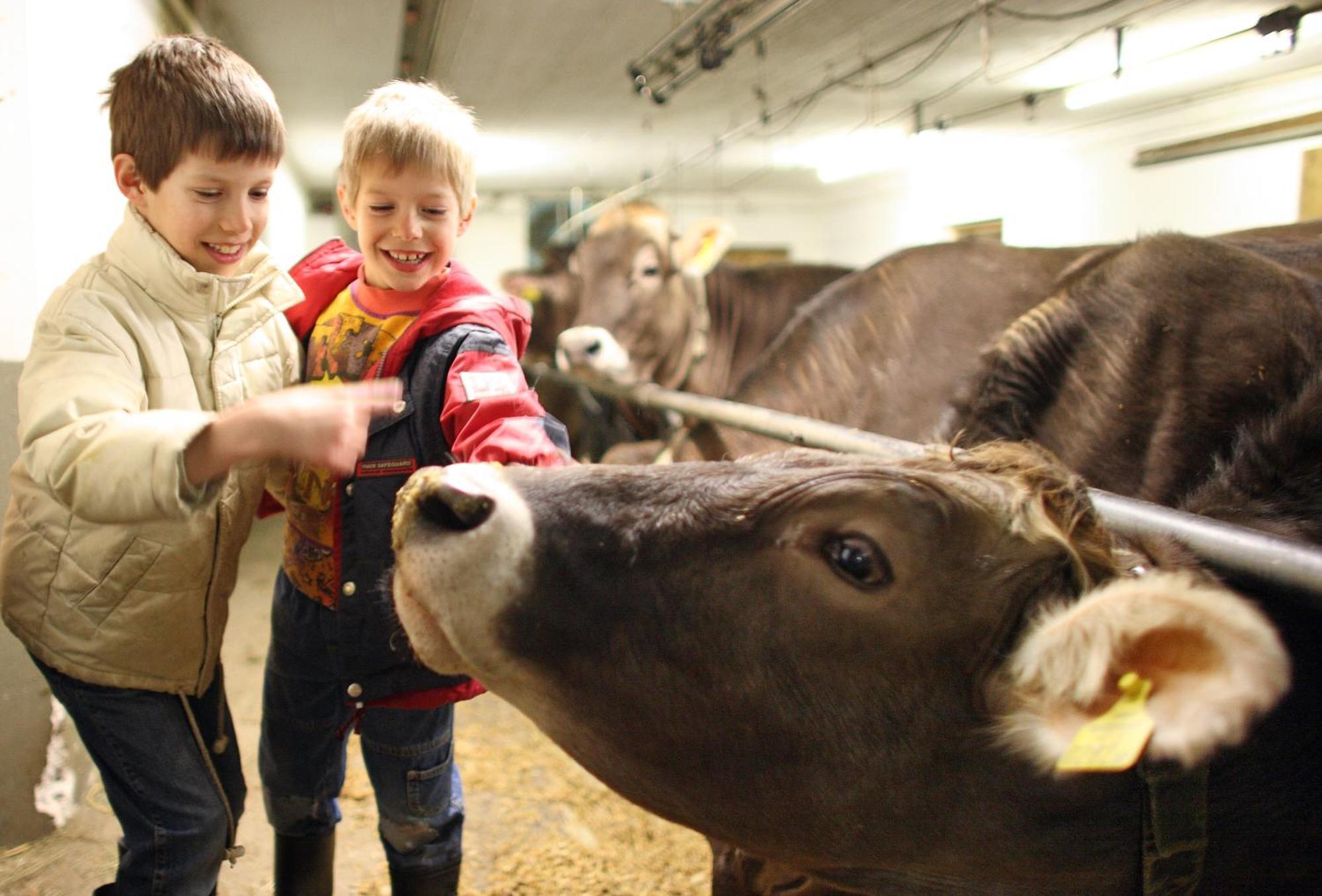 Kinderbauernhof Leneler Arzl im Pitztal Exteriér fotografie